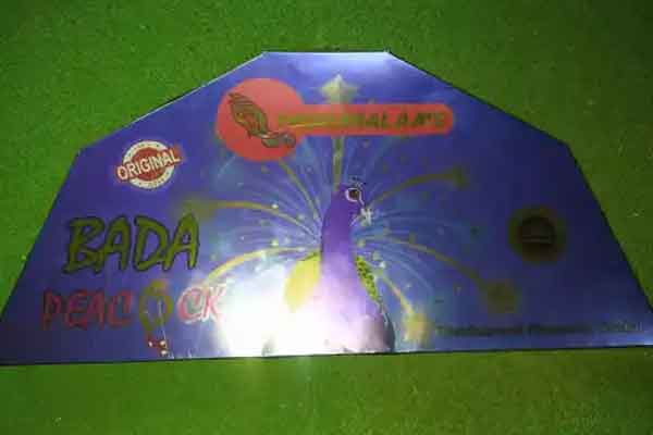 Mega & Pada Peacock